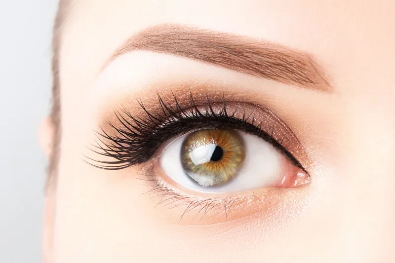 Rehaussement de cils et browlift